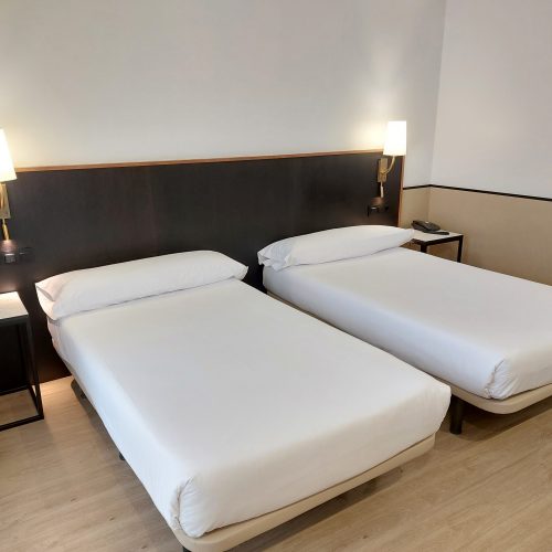 Habitación doble Superior 2 camas (Twin)