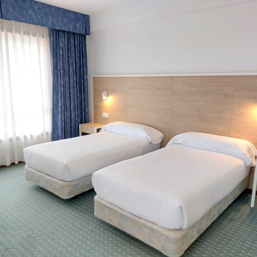 Habitación doble Estándar 2 camas (Twin)