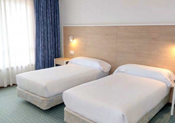 Habitación doble Estándar 2 camas (Twin)