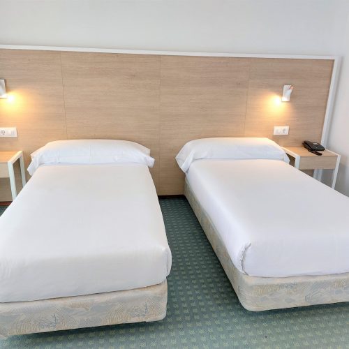 Habitación doble Estándar 2 camas (Twin)