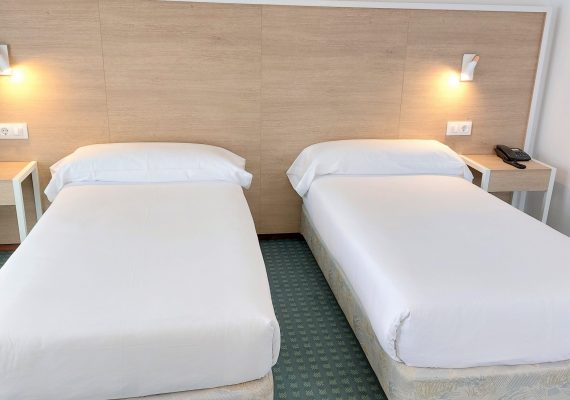 Habitación doble Estándar 2 camas (Twin)