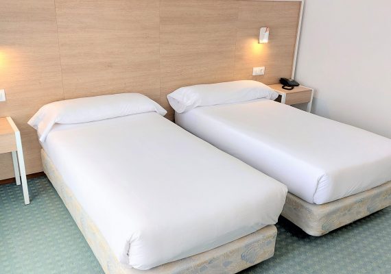 Habitación doble Estándar 2 camas (Twin)