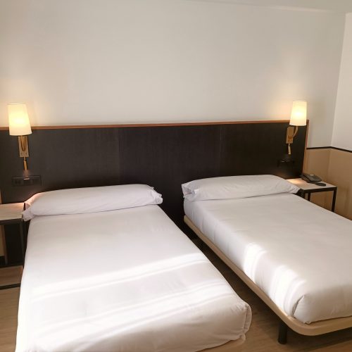 Habitación doble Superior 2 camas (Twin)